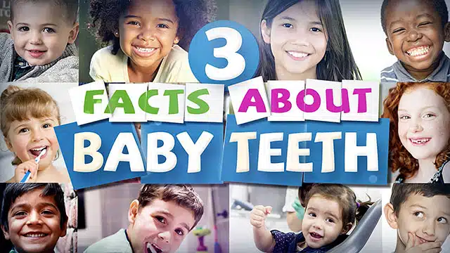 3 Facts About Baby Teeth